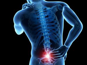 Low back pain major cause of disability